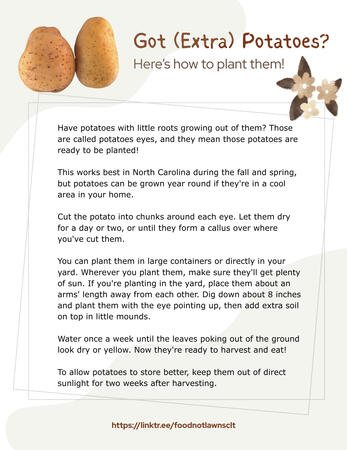 Got Extra Potatoes? Got Extra Potatoes? Here's how to plant them! Have potatoes with little roots growing out of them? Those are called potatoes eyes, and they mean those potatoes are ready to be planted!