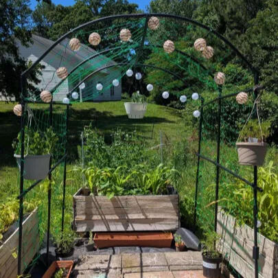 Someone's backyard, with planter boxes full of edible greens and food.